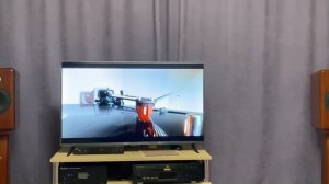 Ars Aures F1 monitor +RUSICH RE250