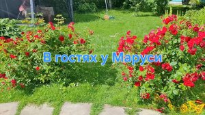 Субботний привет из деревни. Всего понемногу 😊