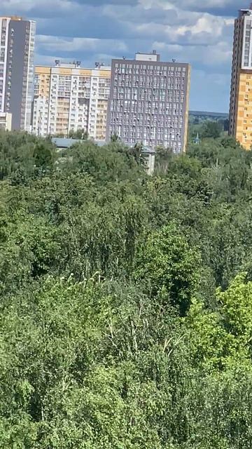 Сормовский парк смотреть онлайн