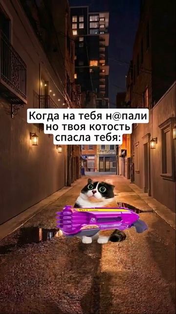 Котость