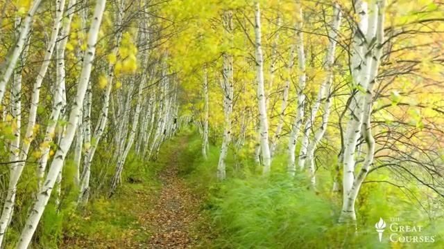 Tgc 7941 Lect05 Natgeolandscapewildlifephoto
