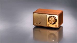 Sangean Mozart портативный bluetooth динамик с fm радио в ретро стиле | Алиэкспресс 2020