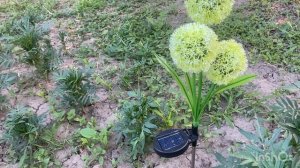 Переехали из Челябинска в Ставропольский край/ Поездка в Грозный/ Мы получили золотую медаль