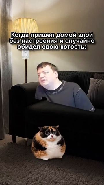Котость