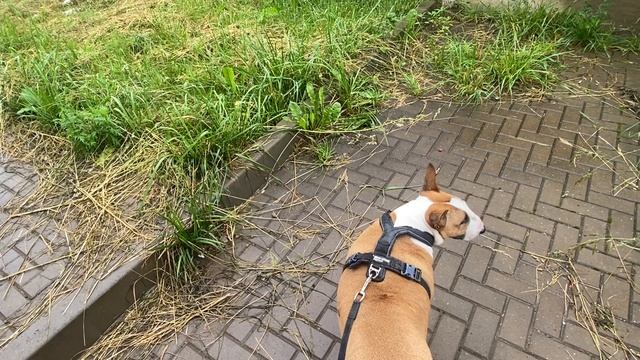 На удивление хорошо погуляли смотреть онлайн