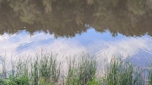 Вода поднимается с каждым часом.