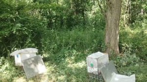 28 июня СРАЗУ в РАБОТУ