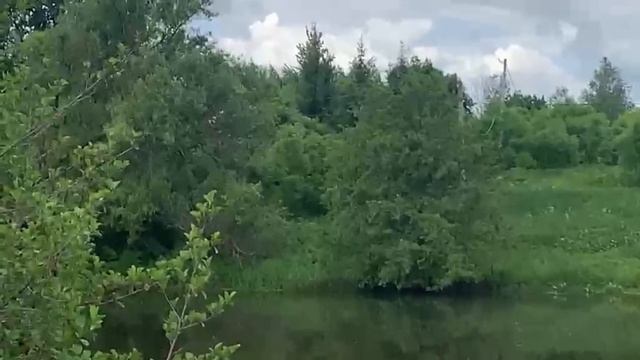 Продажа участка 37 сот. смотреть онлайн
