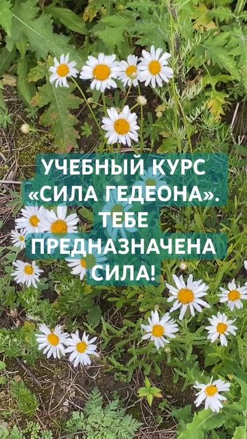 СИЛА ГЕДЕОНА