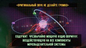 МОЧЕВЫДЕЛИТЕЛЬНАЯ СИСТЕМА: ОРИГИНАЛЬНЫЙ ЗВУК МАТРИЦЫ ГАРЯЕВА