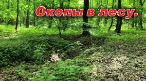 Лесной коп. Наткнулись на окопы.