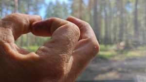 НАШ ВЫХОДНОЙ ДЕНЬ В ДЕРЕВНЕ ЧАСТЬ 2.