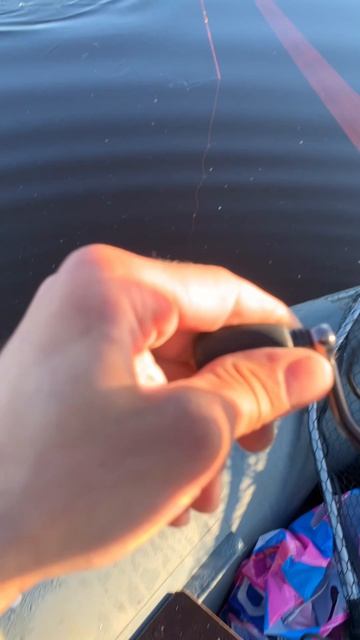 АТАКИ СУДАКА В PANOPTIX 🎣