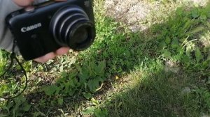 прятки #2