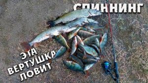 Рыбалка на окуня и щуку / Эта приманка всех переловила! Ловля на спиннинг