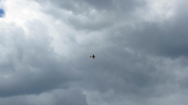 MVI_2581 смотреть онлайн