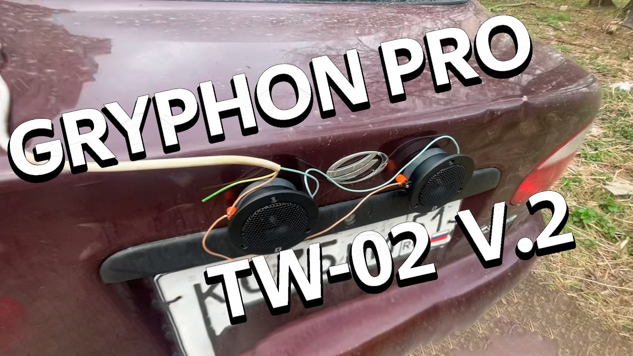 Лучшие твитеры за 2 тысячи!  DL Audio Gryphon Pro TW-02 V.2