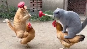 Ржачные котики из нейросети