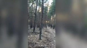 игра со светом