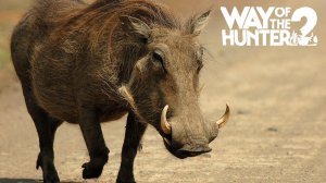 Охота на Бородавочника | Way of the Hunter 2 | Путь Охотника #18