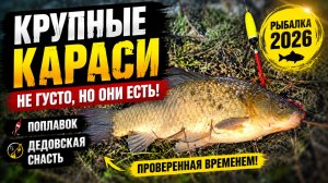 КРУПНЫЕ КАРАСИ на ПОПЛАВОК и ДЕДОВСКУЮ СНАСТЬ! Трудовая рыбалка на Братском море 2026