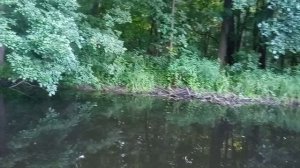 28.06.26