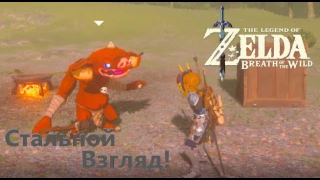 Бонусы в Зельде это нечто! The Legend of Zelda Breath of the wild#24