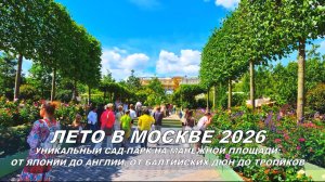 Лето в Москве 2026. Сад-парк на Манежной площади: от Японии до Англии, от балтийских дюн до тропиков