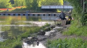 Карпуша