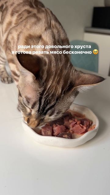 Ради такого удовольствия можно резать мясо бесконечно 🥹