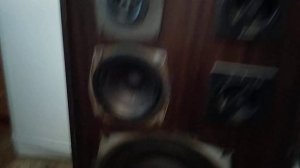 Амфитон 25ас-027,  Радиотехника s90 и Technics SU-V500