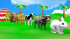 Мультики для детей .Детские мультики.Яркие мультики