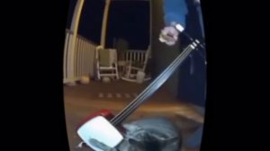 Топ Хит ✨🤍 
Смотрю ржачное видео про котов чек
