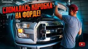КАК ВЫЖИВАЮТ РУССКОЯЗЫЧНЫЕ НА ЗАГНИВАЮЩЕМ ЗАПАДЕ: Форд подкинул проблем
