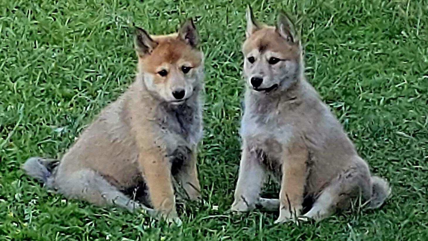 Каждые четыре часа смотреть онлайн