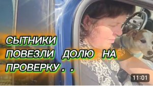 САМВЕЛ АДАМЯН, СЫТНИКИ, ПОВЕЗЛИ ДОЛЮ НА ПРОВЕРКУ..