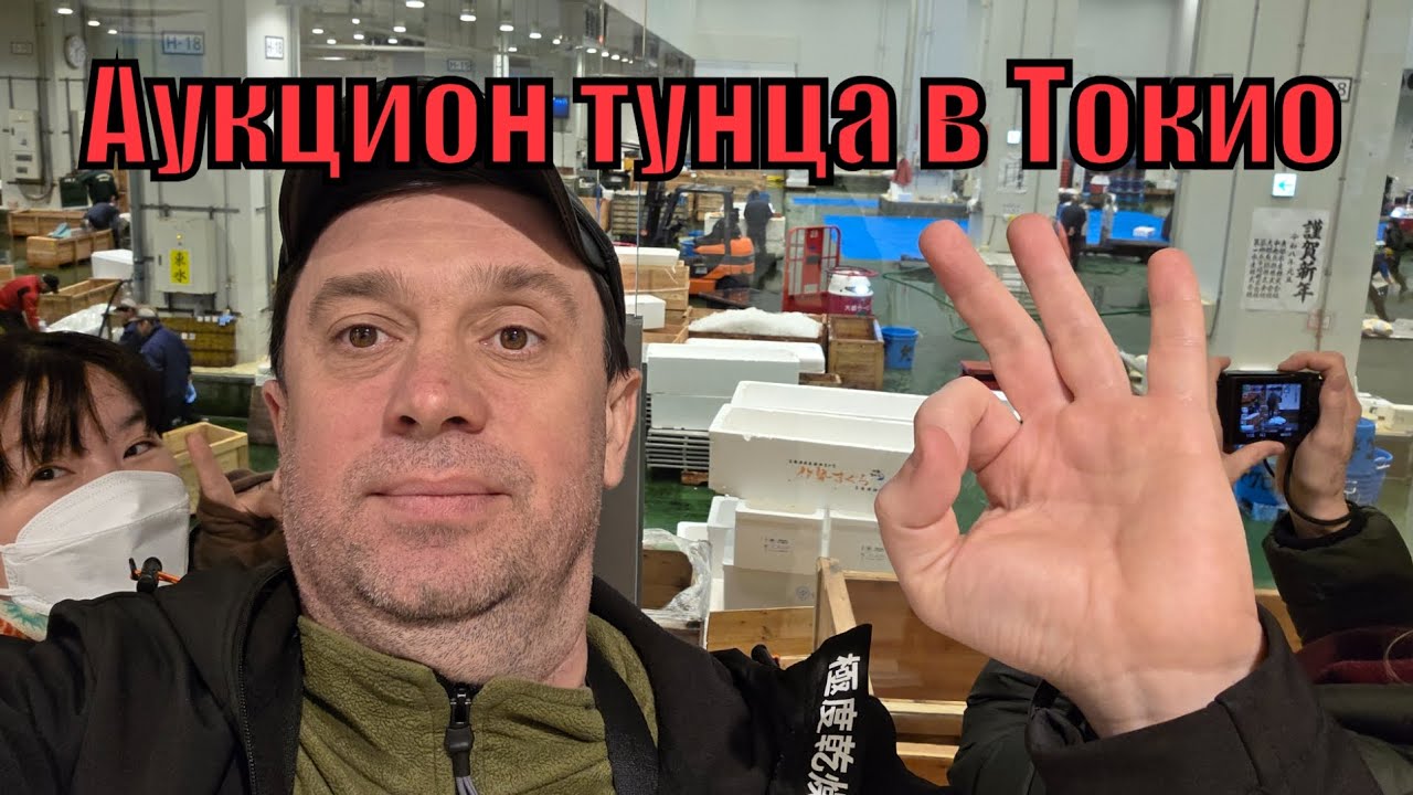 Аукцион тунца в Токио Япония на рыбном рынке Тоесу смотреть онлайн