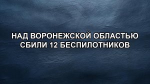 Над Воронежской областью сбили 12 беспилотников