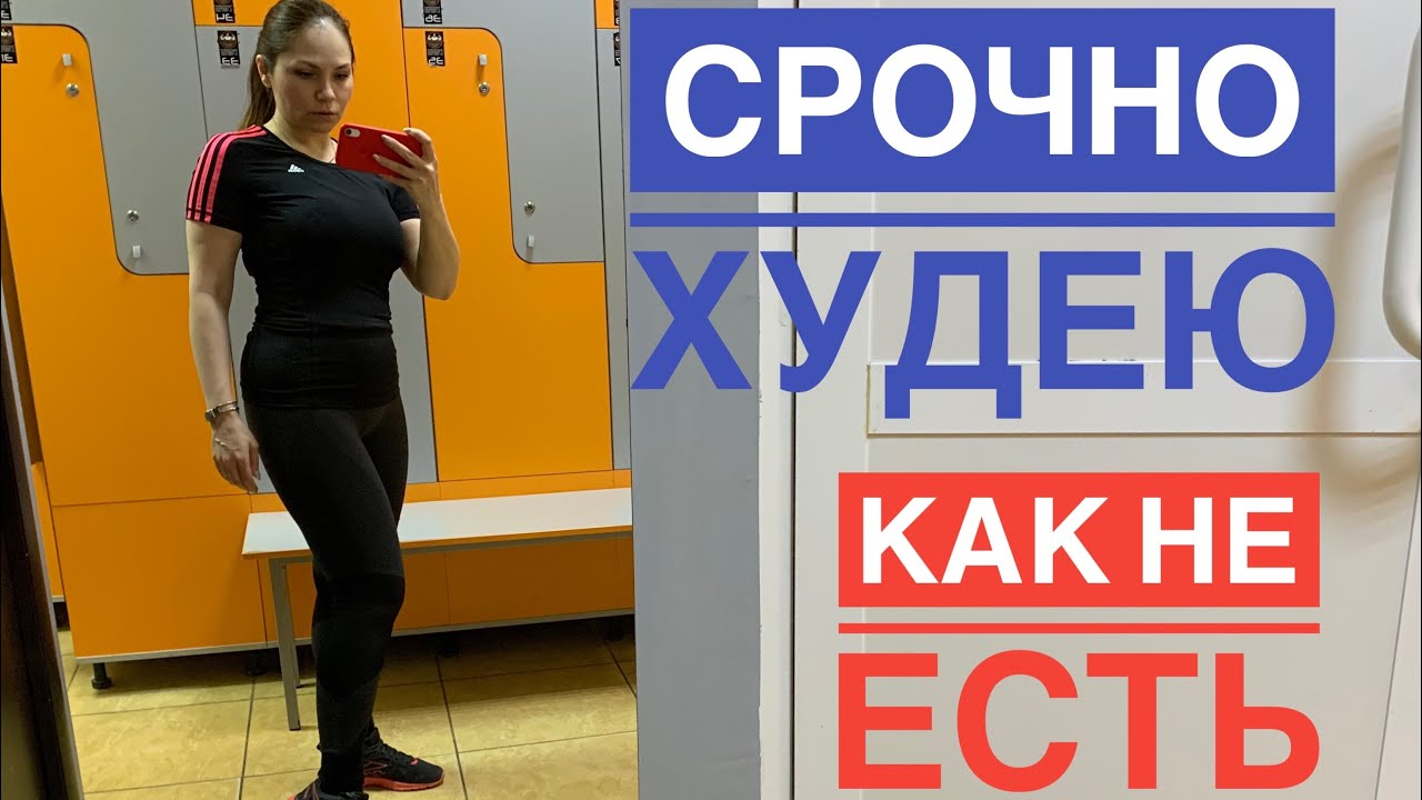 #ВЛОГ /И СНОВА СОБАКА БЕЗ НАМОРДНИКА/НАДО ХУДЕТЬ #ЗАКОНОВЫГУЛЕСОБАК смотреть онлайн