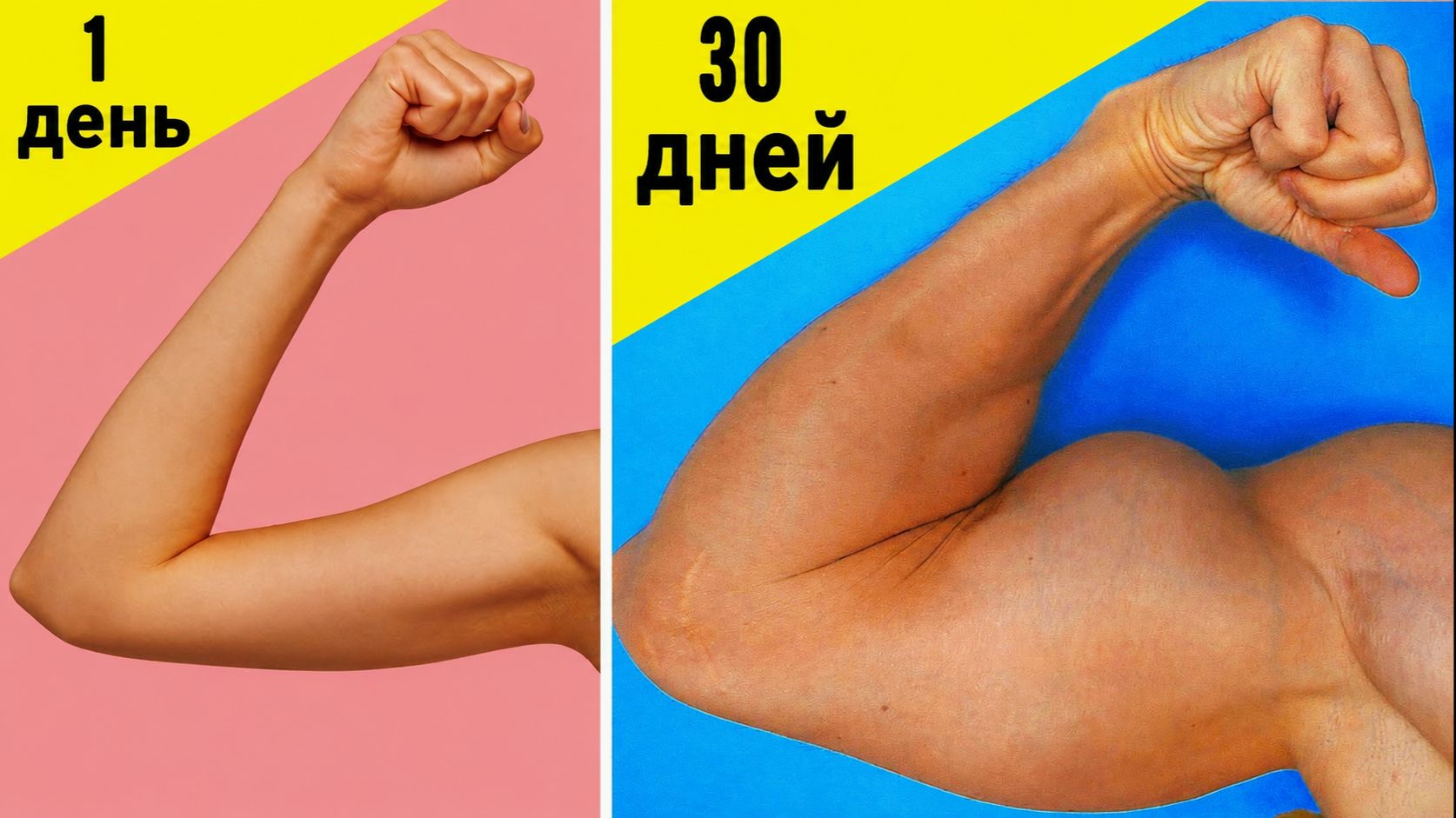 Как накачать РУКИ за 30 дней? Упражнения для рук | Тренировки дома с оборудованием