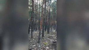 вдали от людей