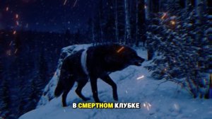 Вмёрзший волк УМОЛЯЛ ГЛАЗАМИ_ Поступок старика, который НЕВОЗМОЖНО забыть!
