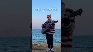 «Они дерутся» акустика на тбилисском море // adam random