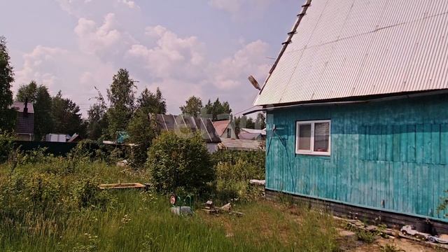 12303139 Кедровый бор смотреть онлайн