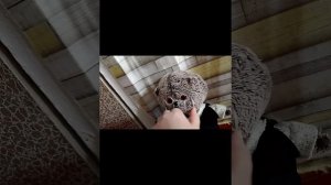 басики победили на футболе