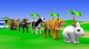 Мультики для детей .Детские мультики.Яркие мультики