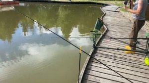 Карпуша на селёдку))