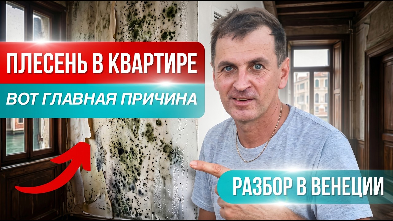 ПЛЕСЕНЬ в вашей квартире -- почему она появляется на примере Венеции смотреть онлайн