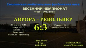 СЛФЛ. Весна 2017. «АВРОРА» - «РЕВОЛЬВЕР» 6:3