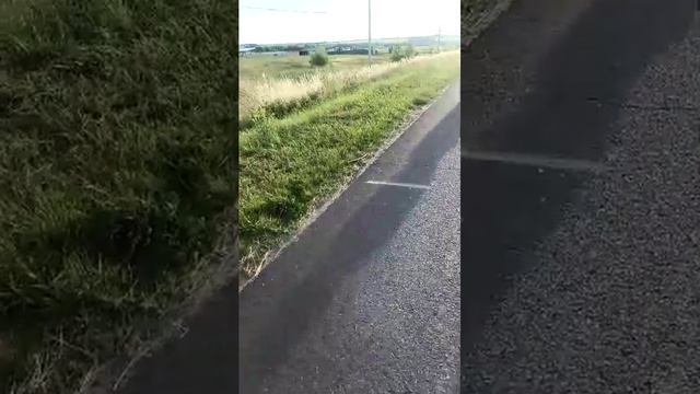 летний вечер 🌇 смотреть онлайн